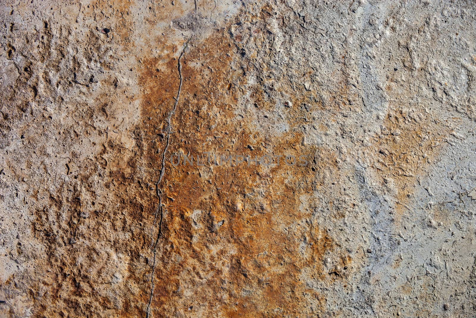 Concrete surface with rust by rootstocks