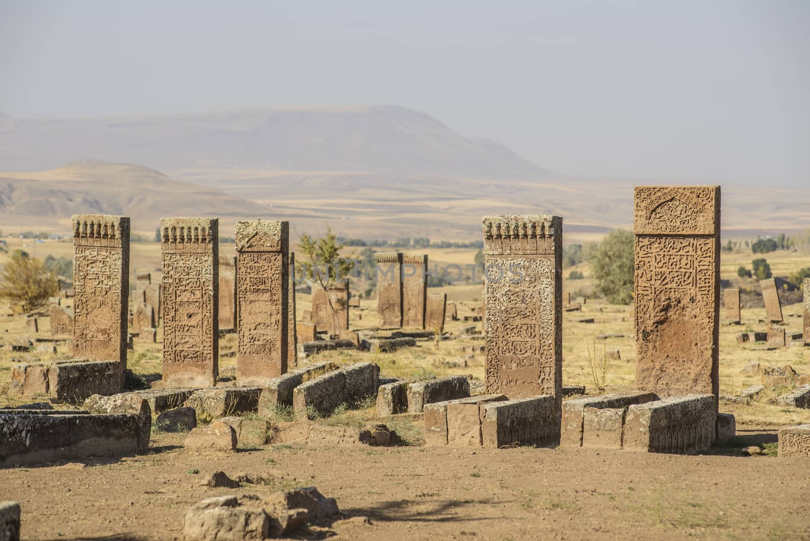 Tombstones of seljuks in Ahlat turkey by emirkoo