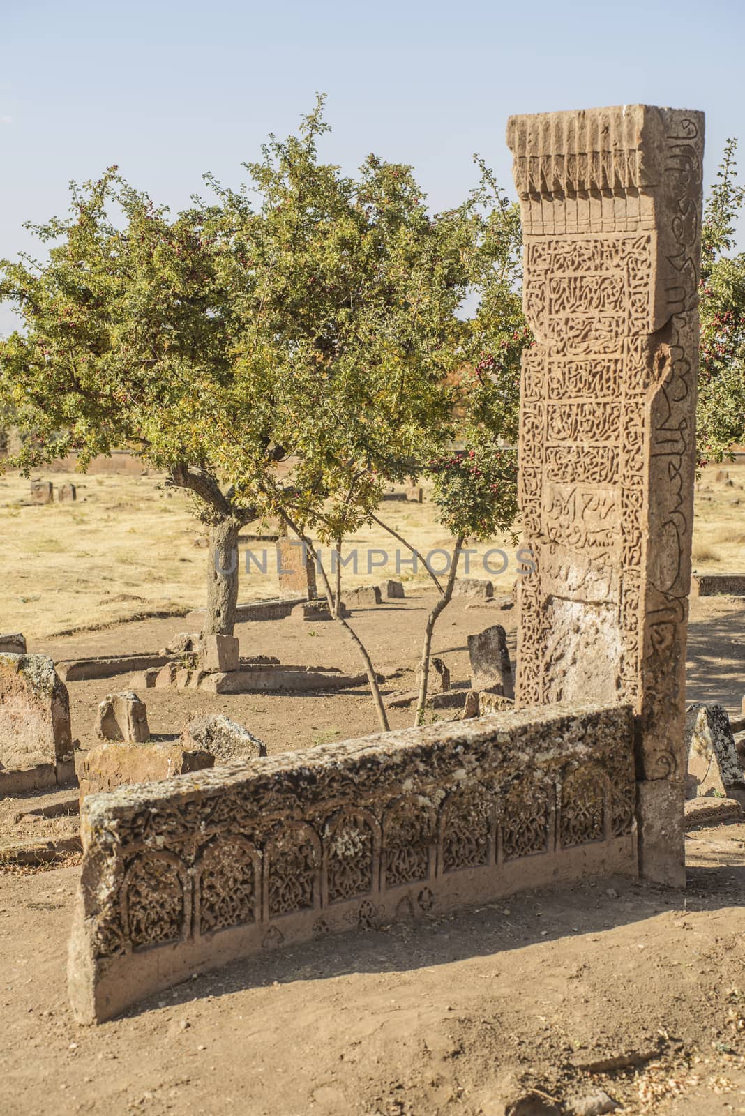 Tombstones of seljuks in Ahlat turkey by emirkoo