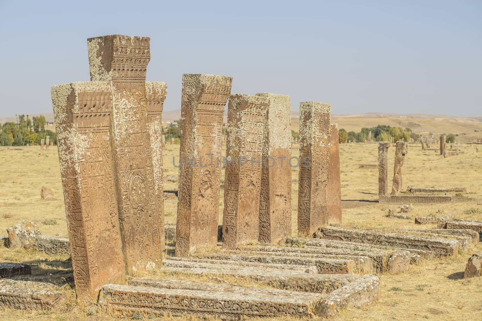 seljuk turk cemetery in ahlat, bitlis