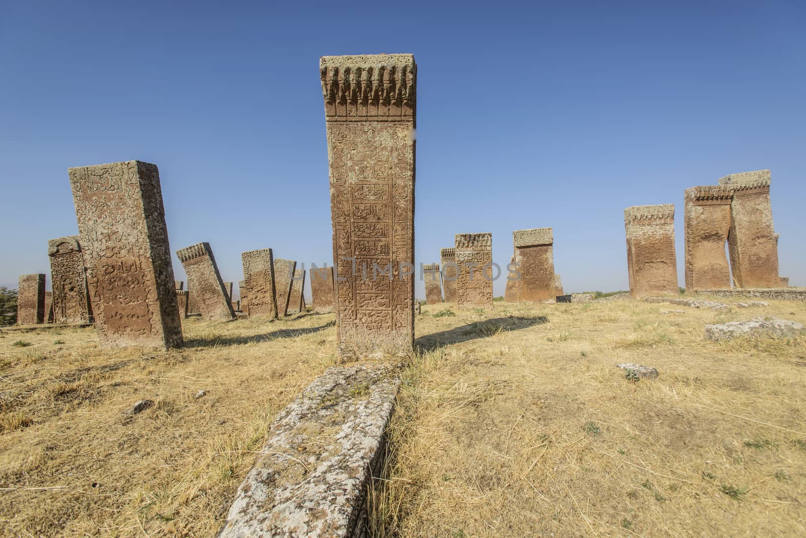 seljuk turk cemetery in ahlat, bitlis