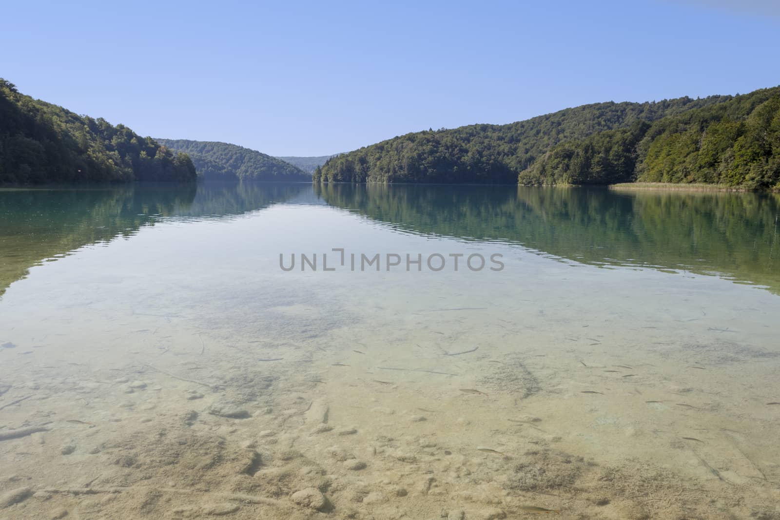 Lake in Plitvice, Croatia by bayberry