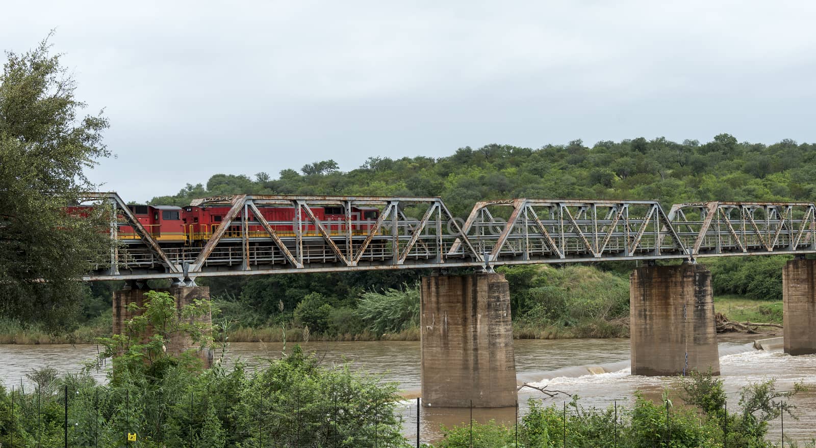train crossing bridge over elephant riverin south africa near the palce hoedspruit
