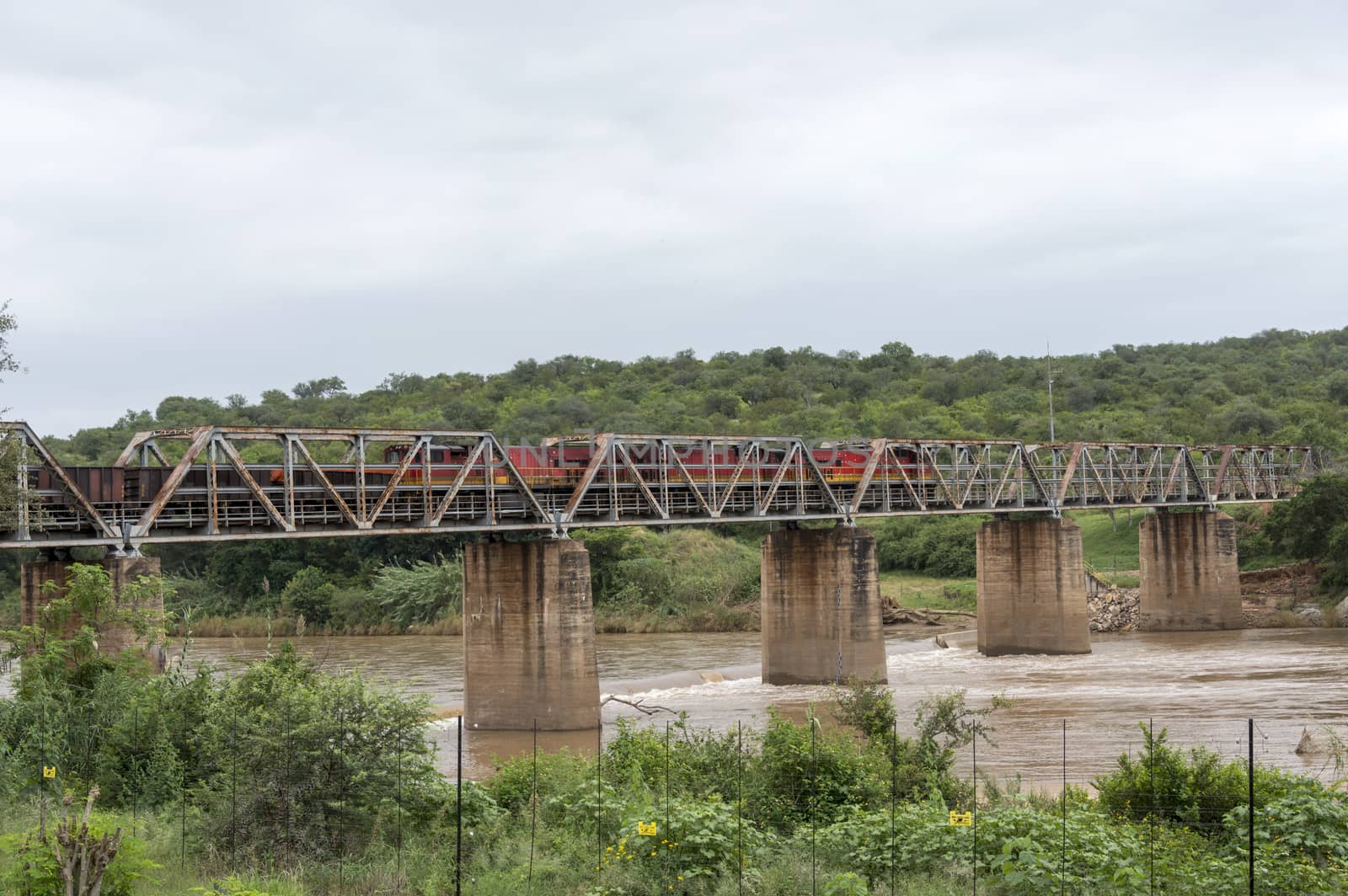 train crossing bridge over elephant river by compuinfoto