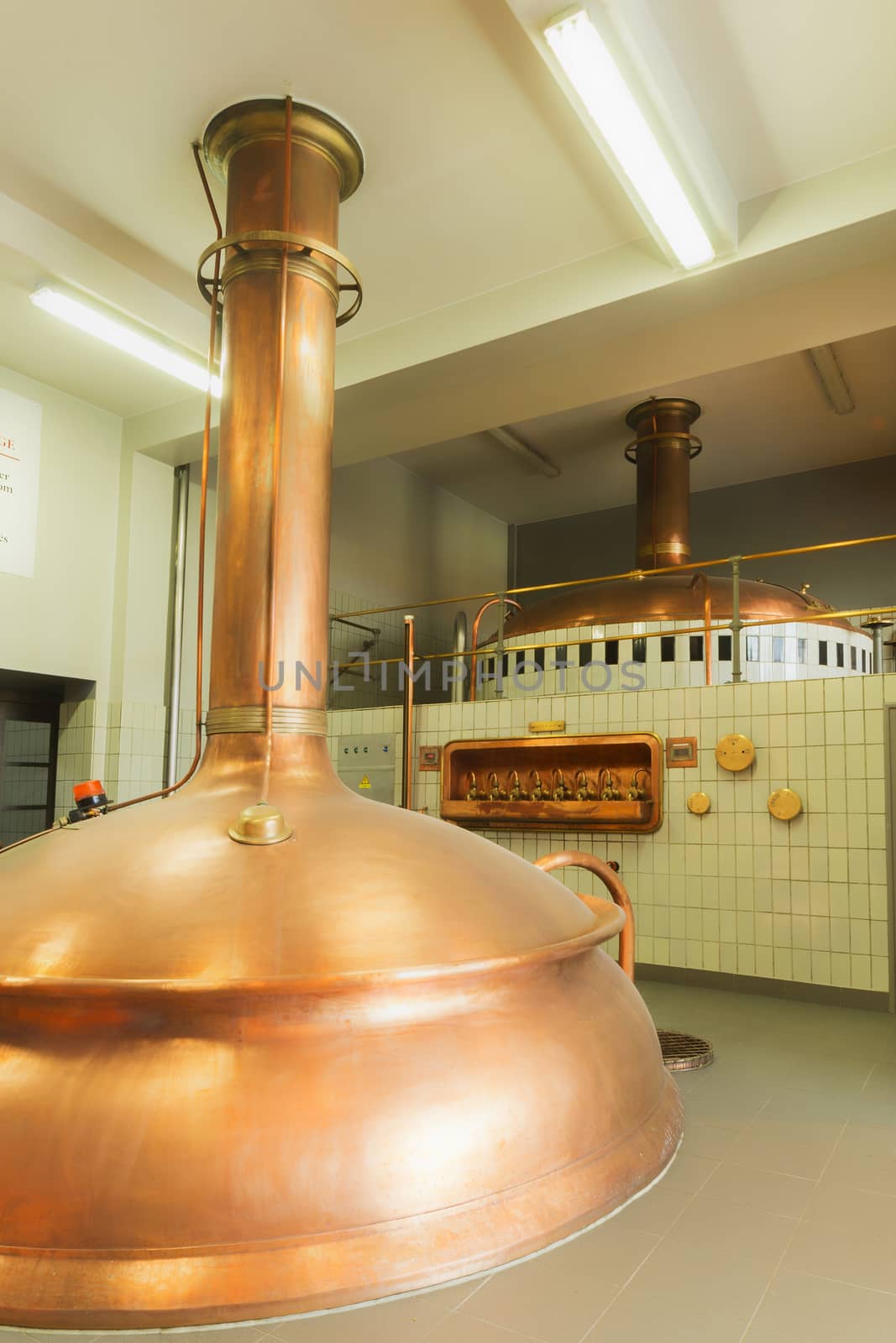 Boiling kettle and mash tun in the background. by Claudine