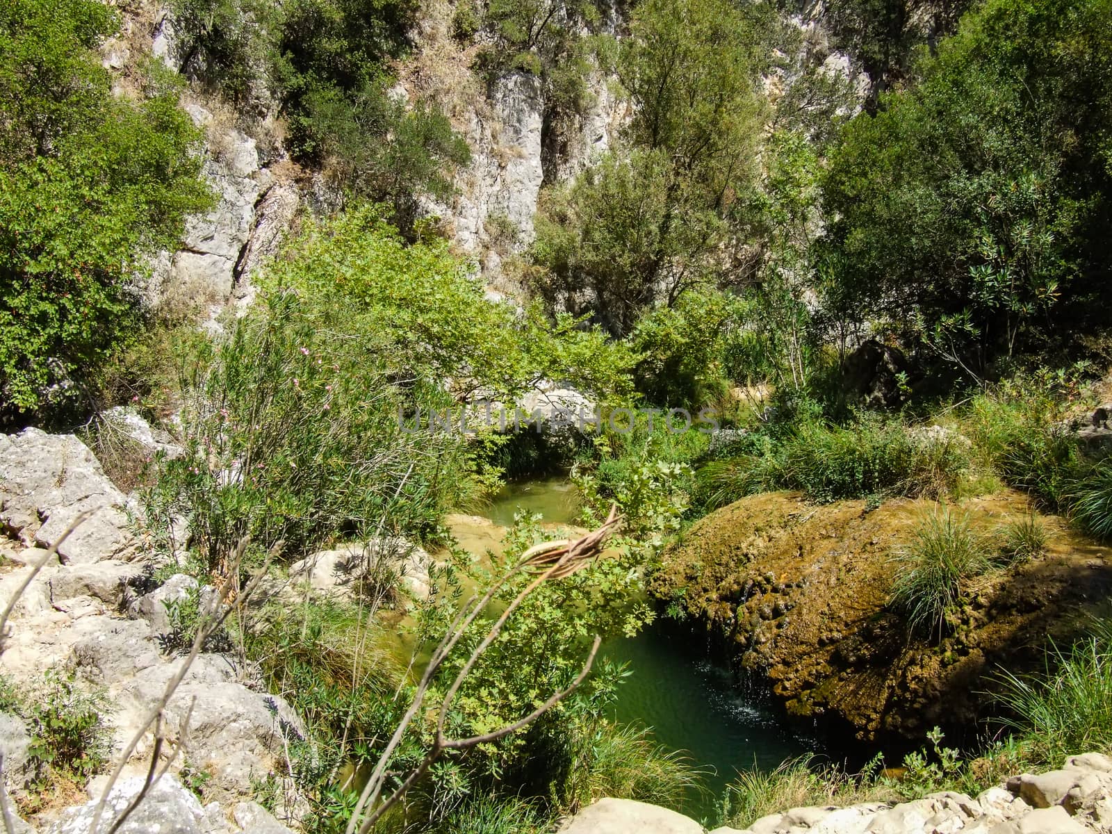 Small river with rocks in the mountains