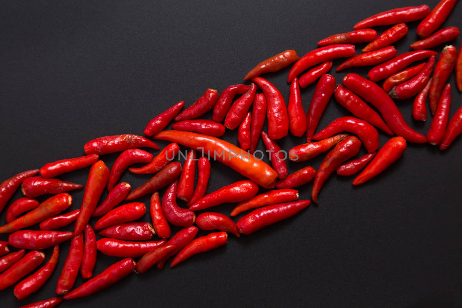 Row of non-stem red bird eye chili peppers on grey background 