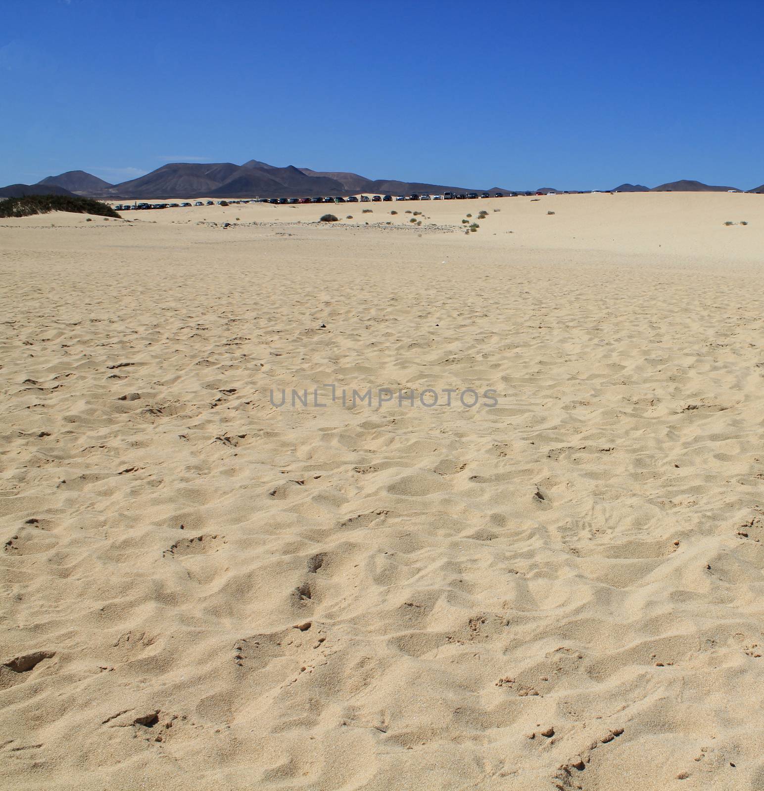 Sand dune on Sotavento beach on Jandia peninsula, Fuerteventura, by JackyBrown