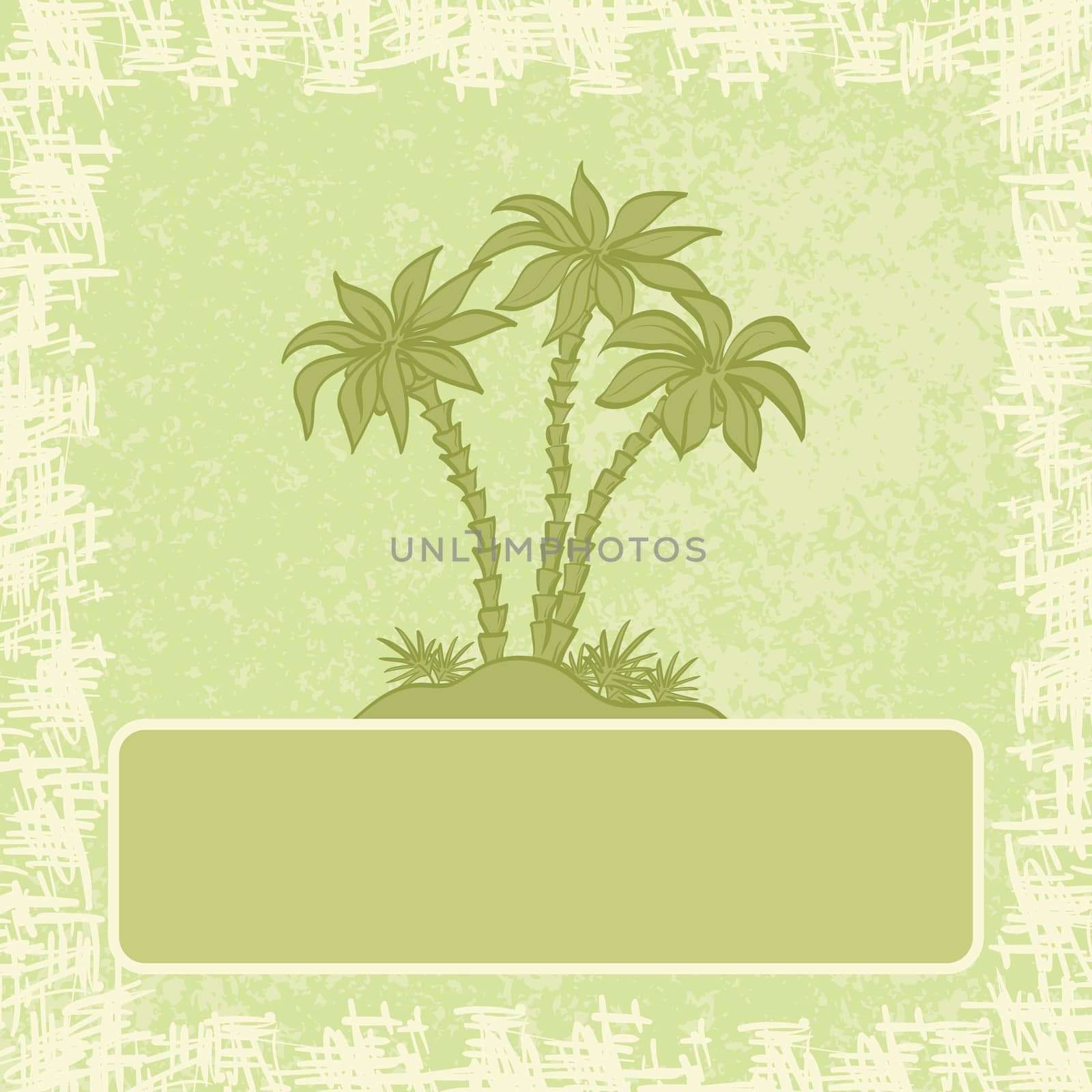 Exotic background, green palm silhouette, frame and grunge pattern.