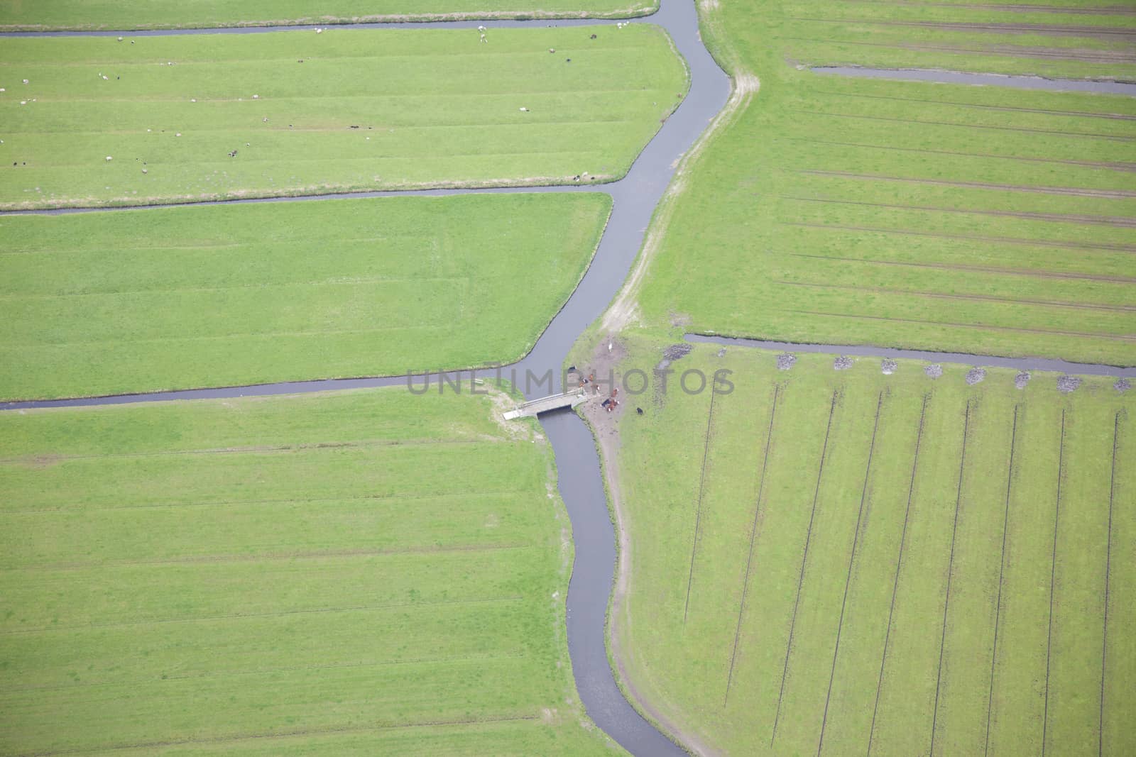Green landscape with water and bridge from above, The Netherlands