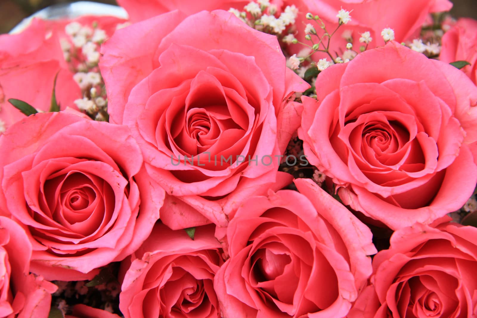 Pink roses in a bridal arrangement by studioportosabbia