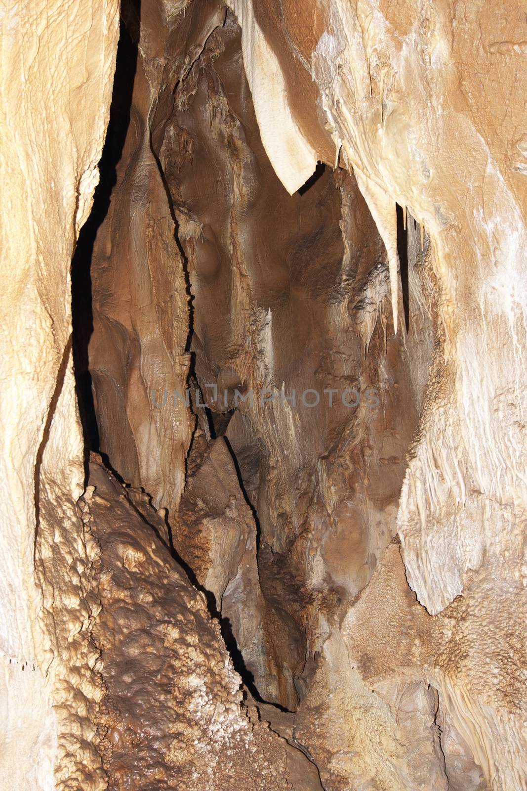 Javoricko stalactite caves are located in central Moravia, about 10 miles west of Litovle city. Underground cave system Javorice a complex of corridors, domes and divides. Cave excel beautiful stalactite formations. The underground system of caves Javoricko consists of a complex of corridors, halls and gorges. They were created in the Isle of Devonian limestone and participated in their development stream Spranek. A substantial part of the cave was discovered in 1938. Javoricko, Moravia, Czech republic