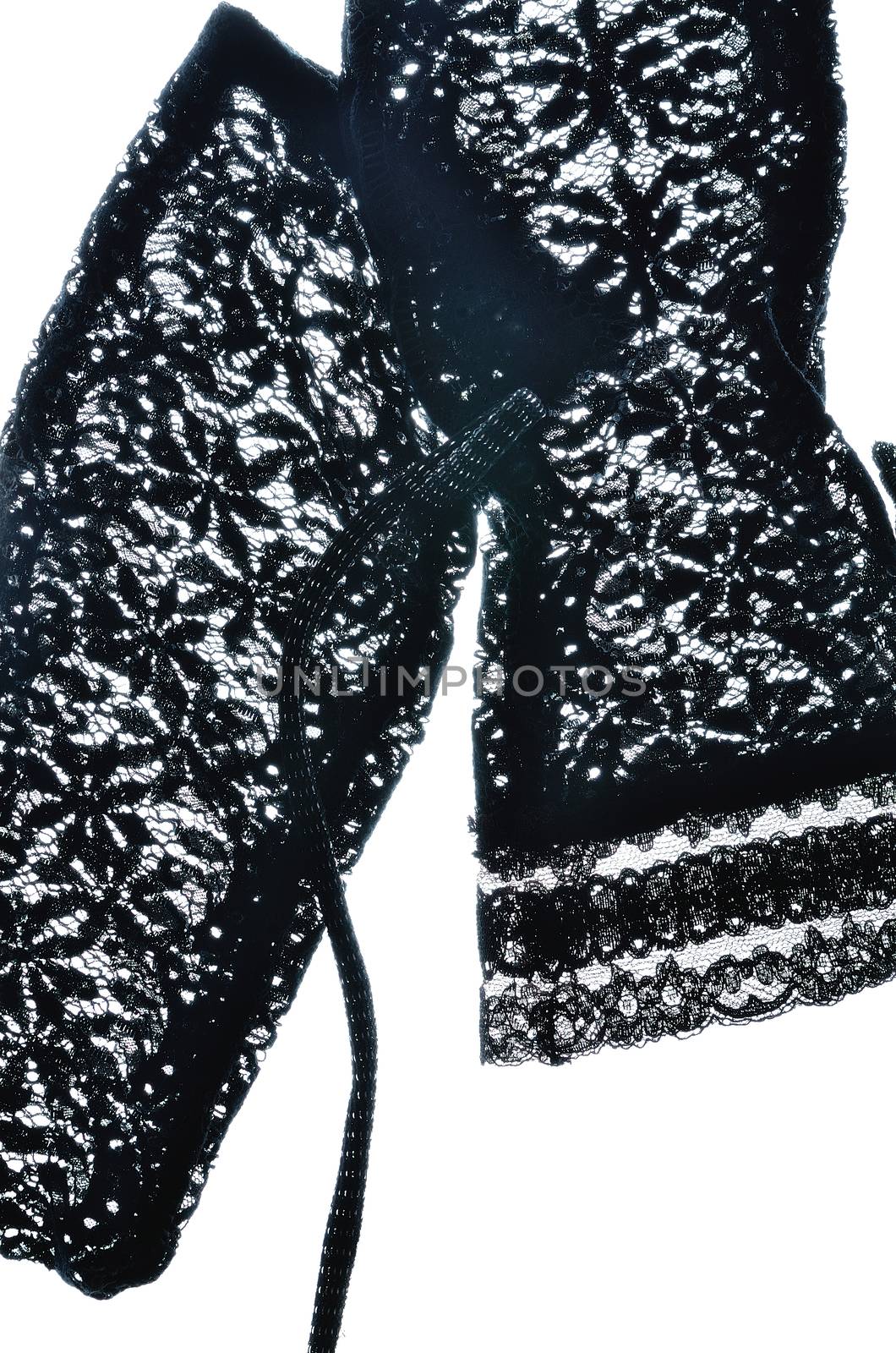 Black Ivory lace gloves on white background