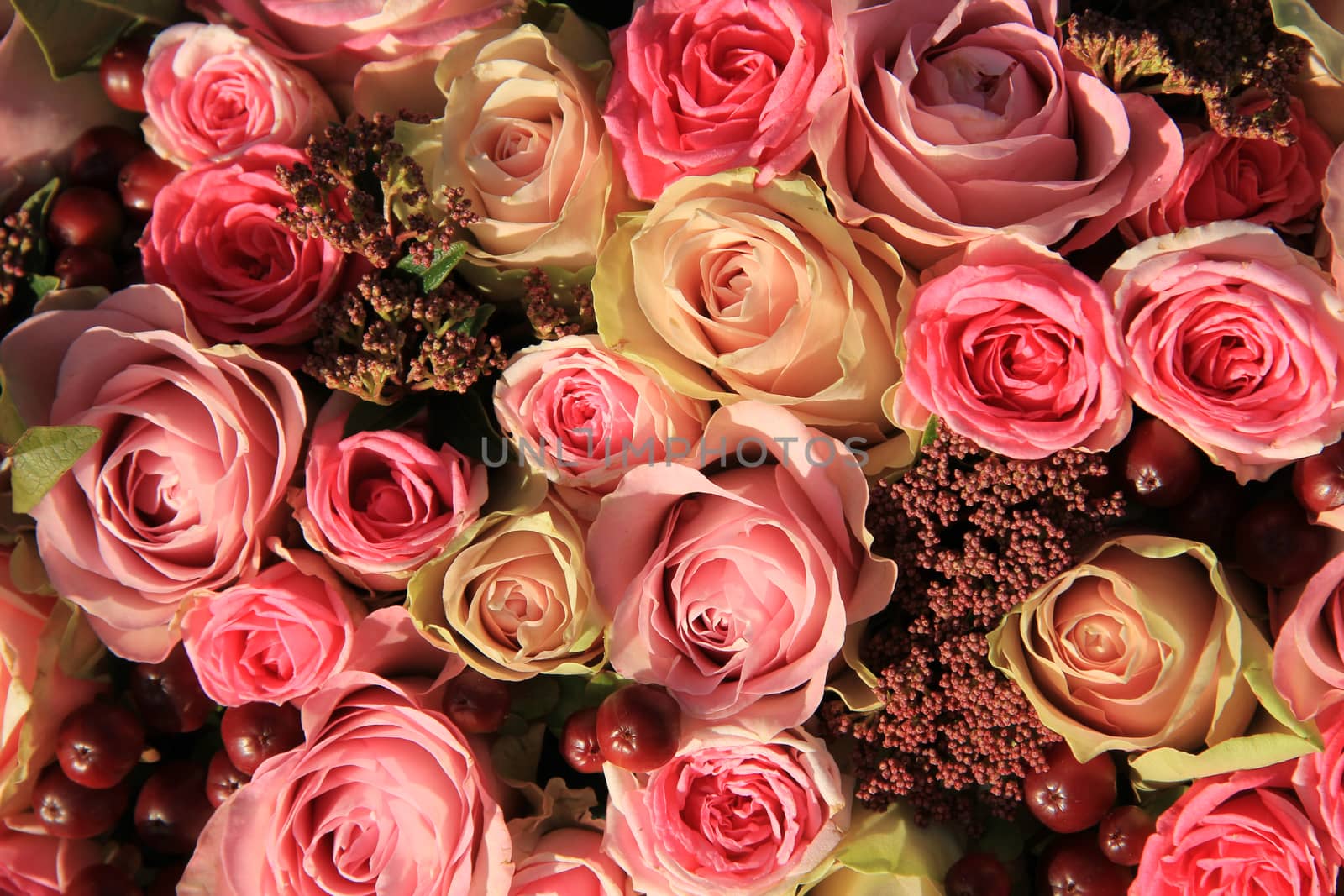 Pastel roses in different shades of pink in a bridal arrangement