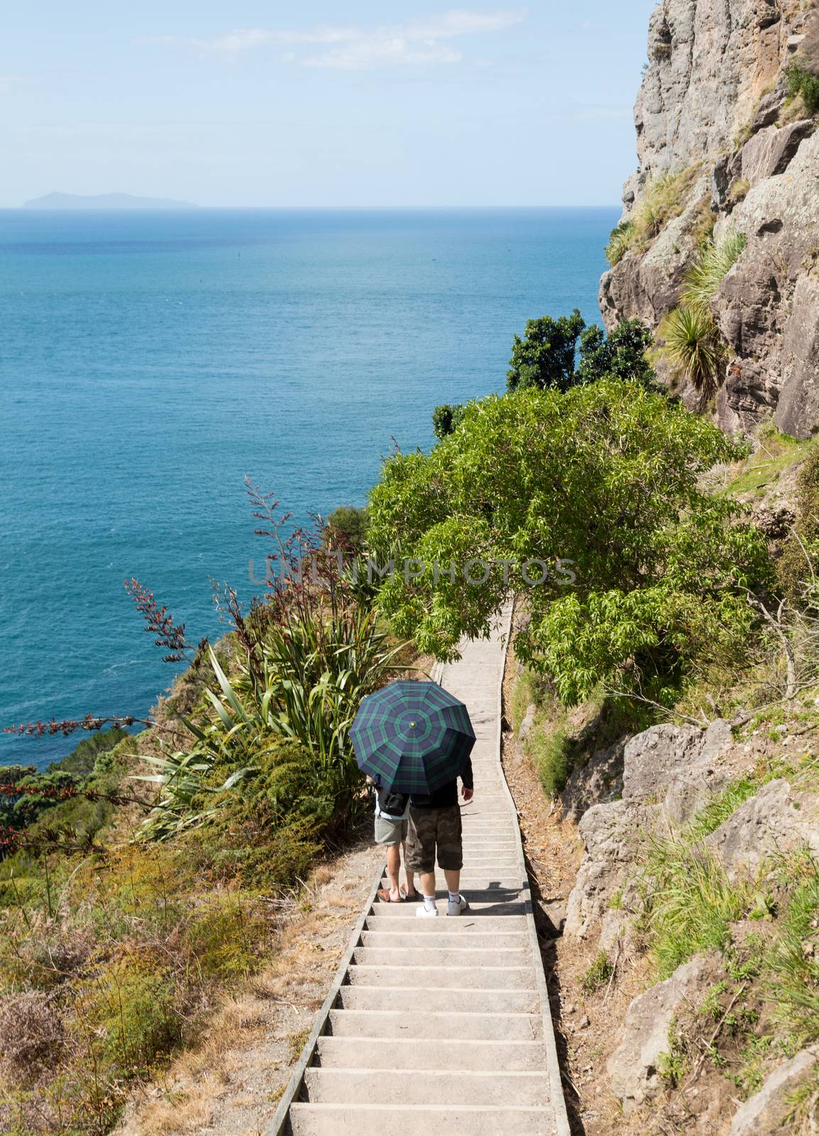 Two men with umbrella as sun shade hike the steep path around the Mount in Tauranga New Zealand