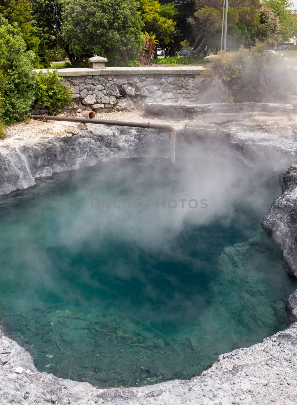 Blue steaming water of Rachel Spring in Government Park in Rotorua on the North Island of New Zealand