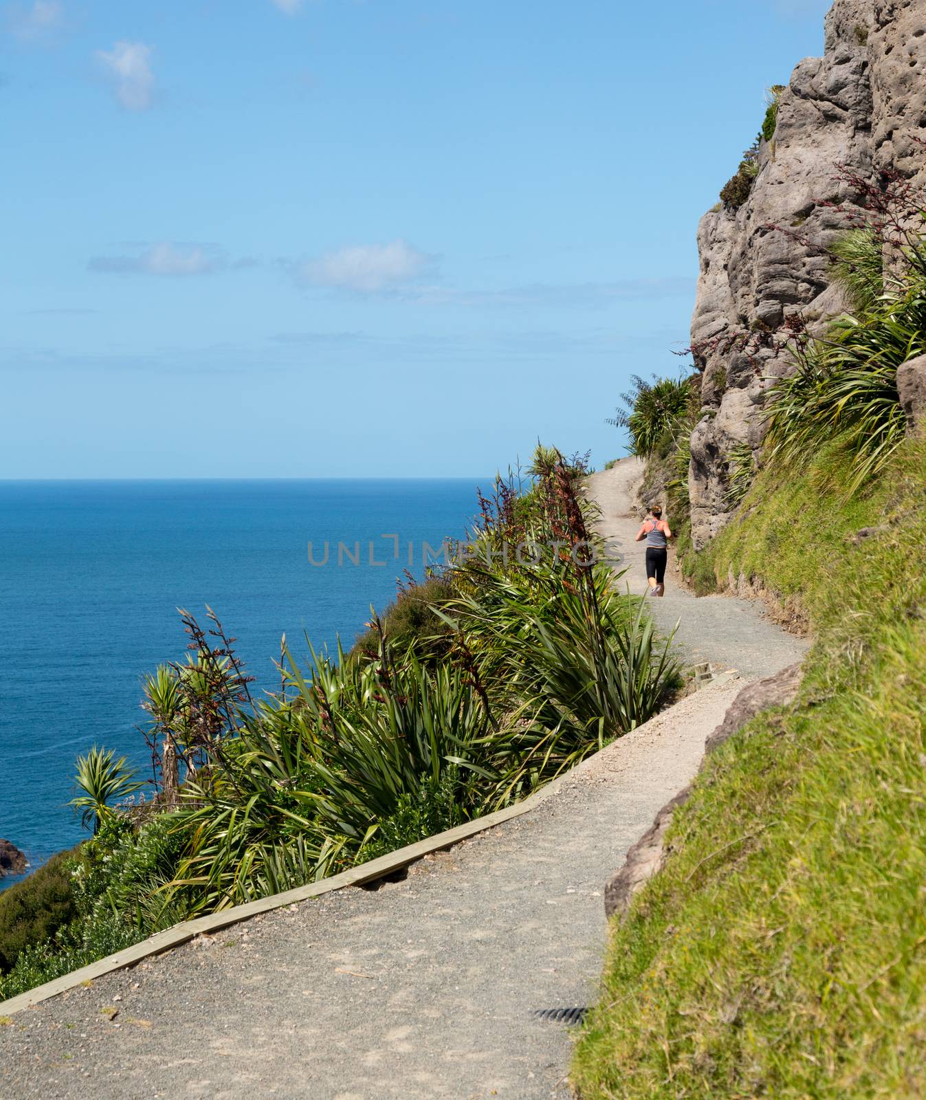 Woman athlete runs and hikes the steep path around the Mount in Tauranga New Zealand