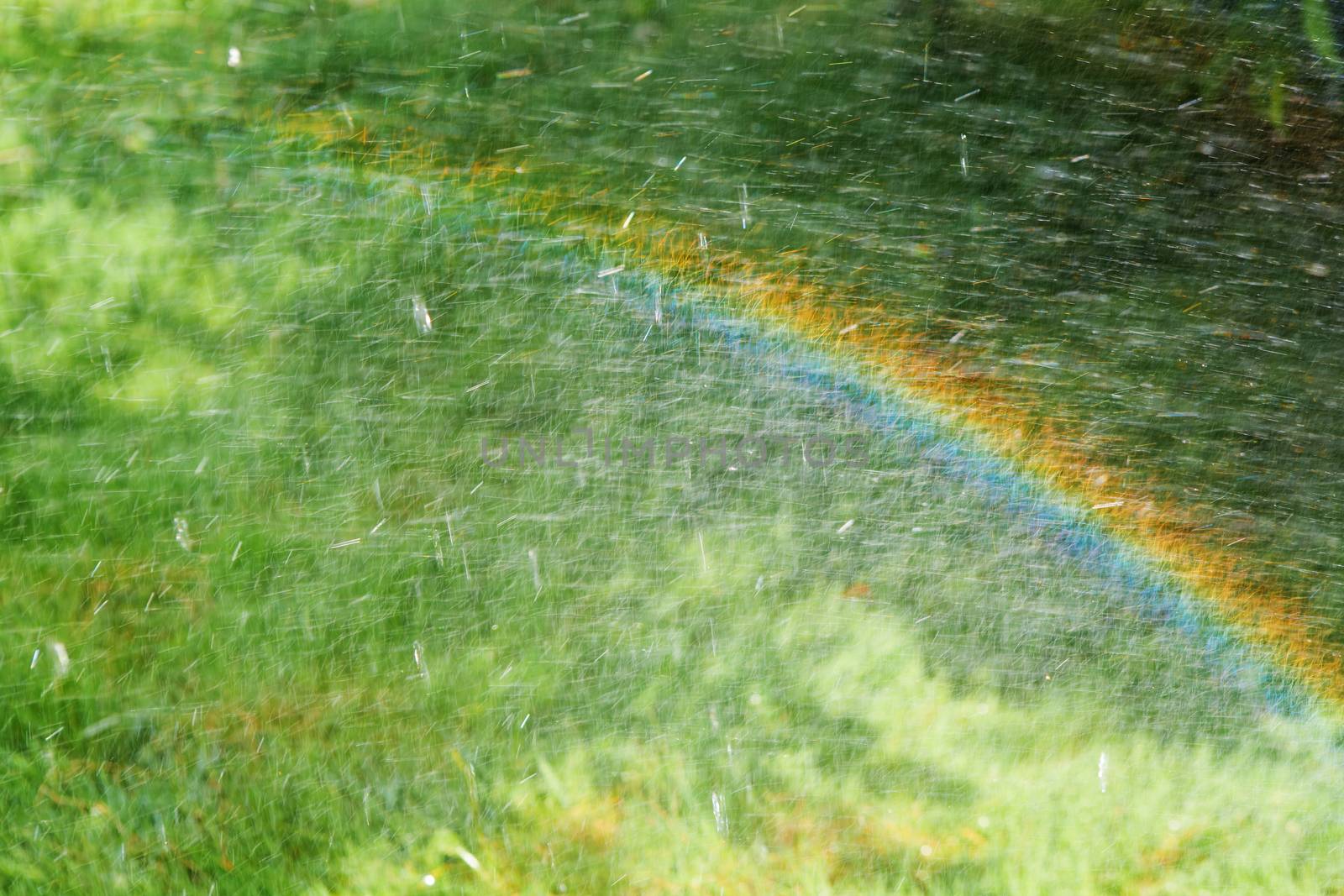 rainbow on the green meadow with rain