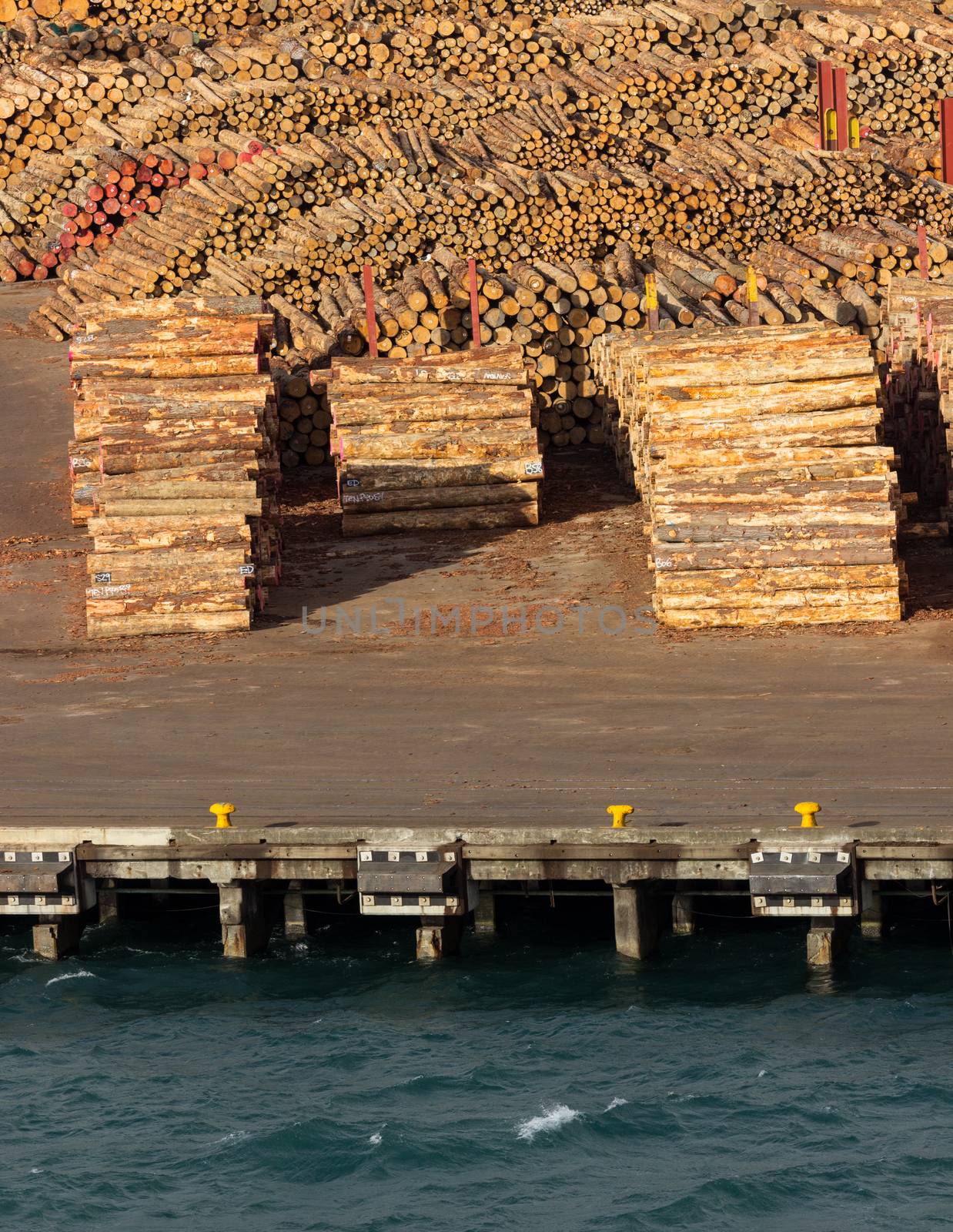 Piles of cut tree logs and trunks on wharf of Wellington Harbour in New Zealand ready for export