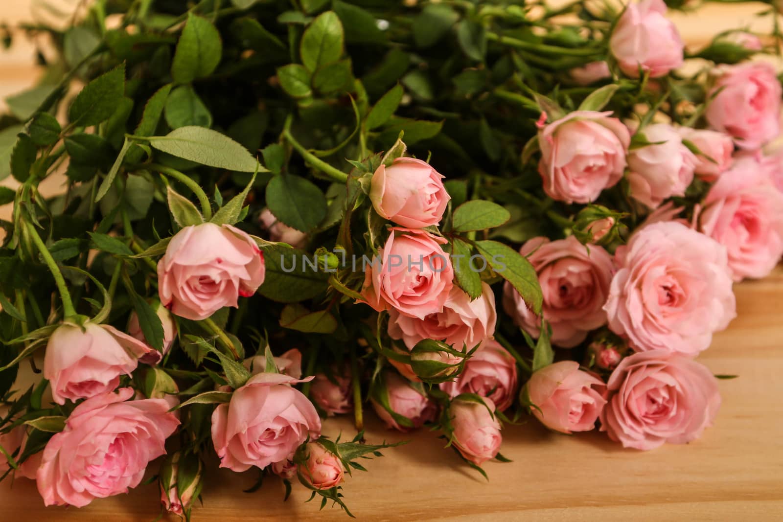 Bunch of small pink Roses.

