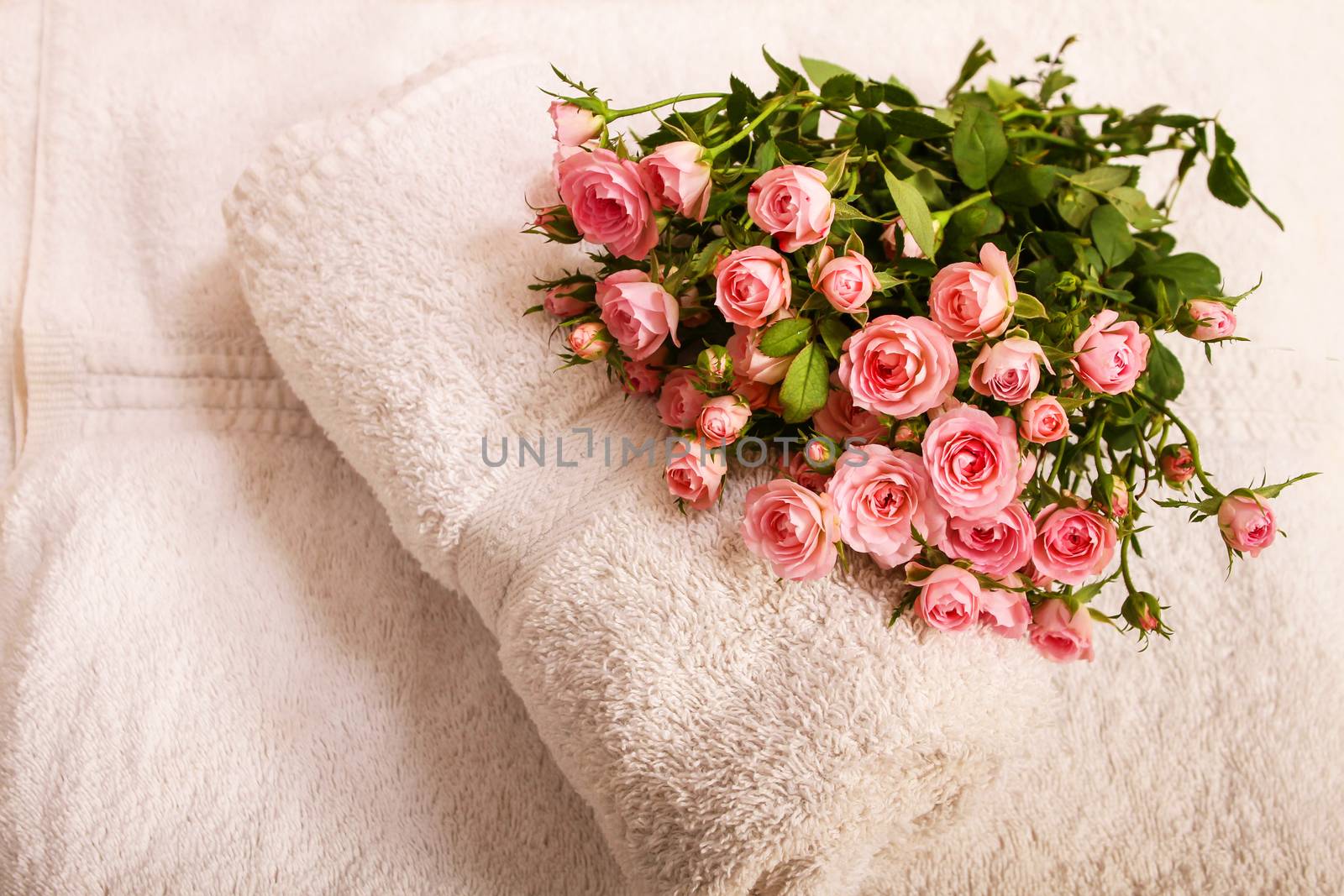 Bunch of small pink Roses on towels, close up.
