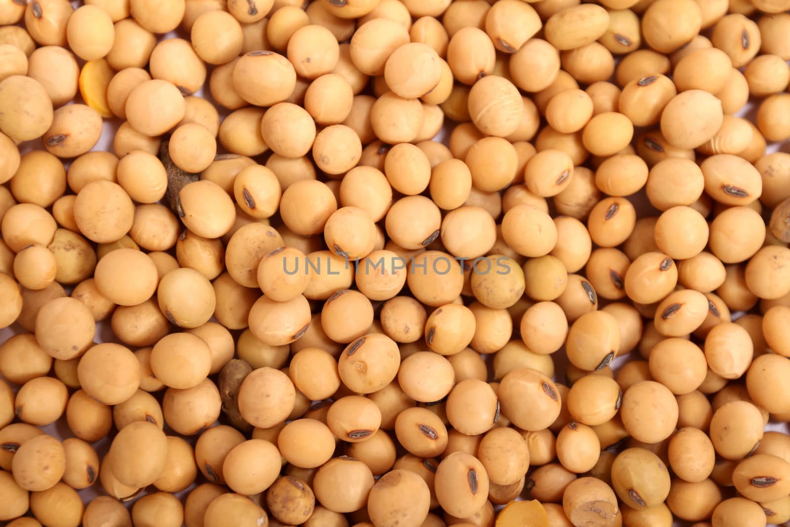 Lots of soybean background
