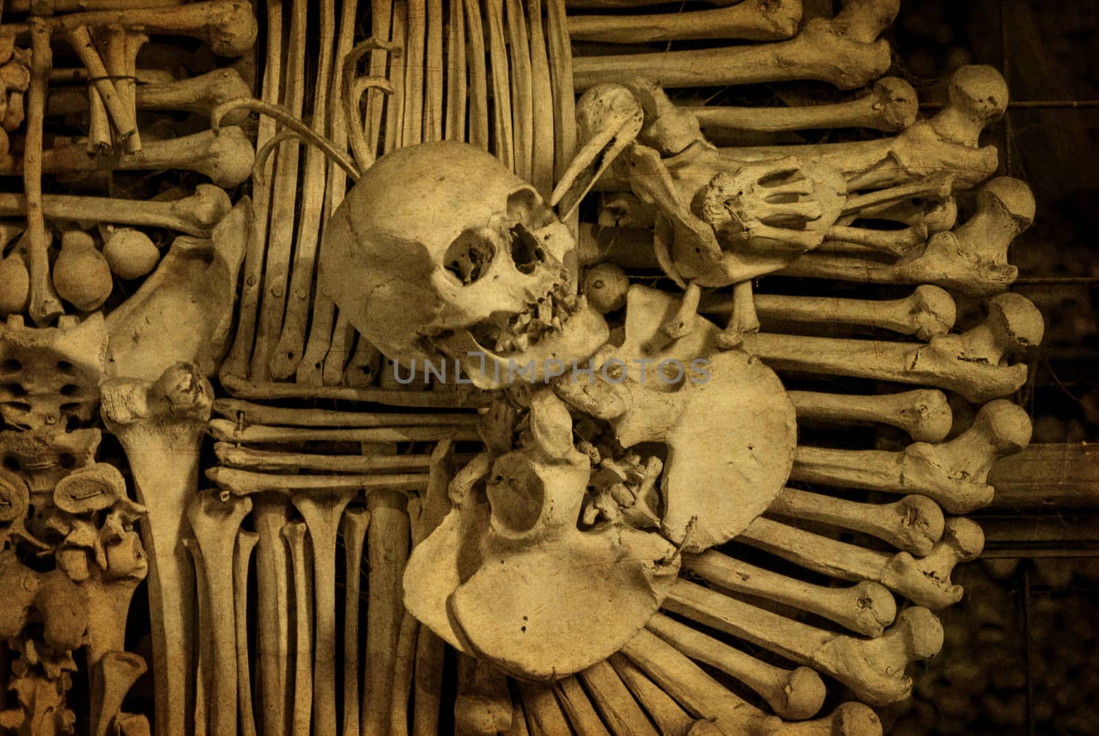 Human skull and bones in the bone chapel in Kutna Hora, Czech Republic