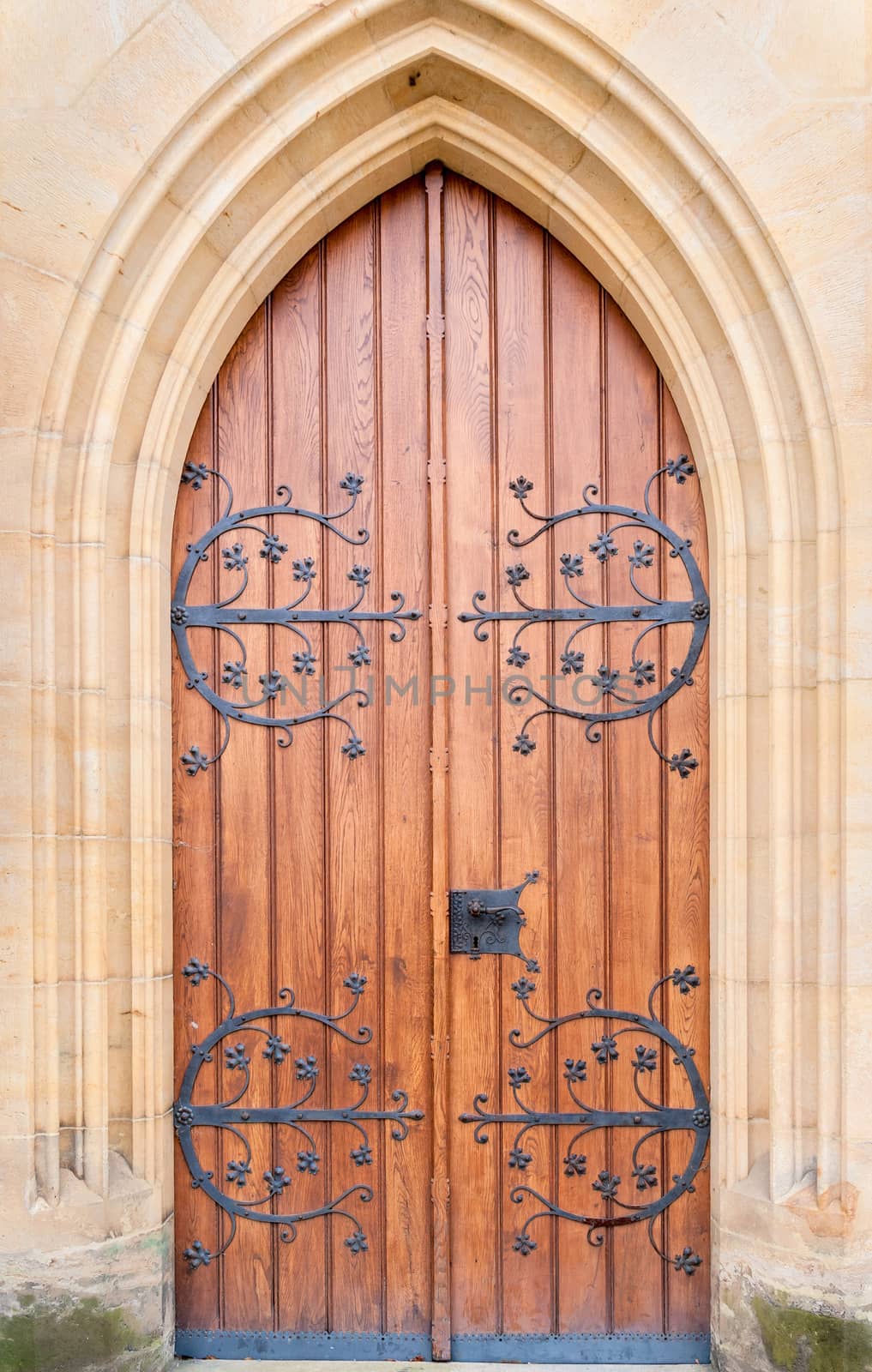 Historical ornate  door , Kutna Hora, Czech Republic by Zhukow