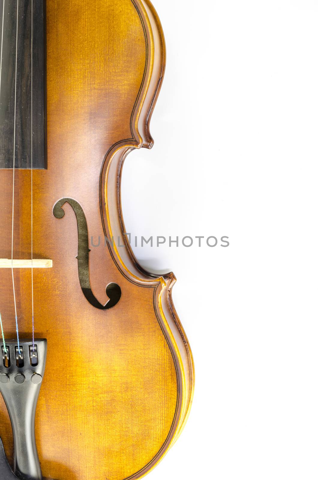 music string instrument violin isolated on white background