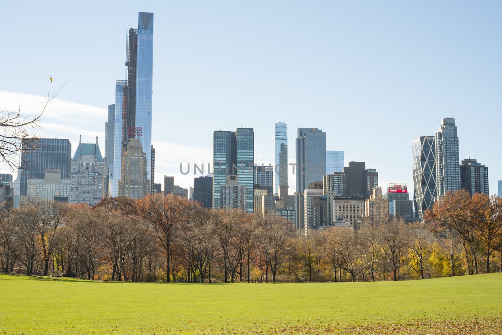 NEW YORK, US - NOVEMBER 23: Manhattan skyline with Central Park field in the foreground in Autumn. November 23, 2013 in New York.