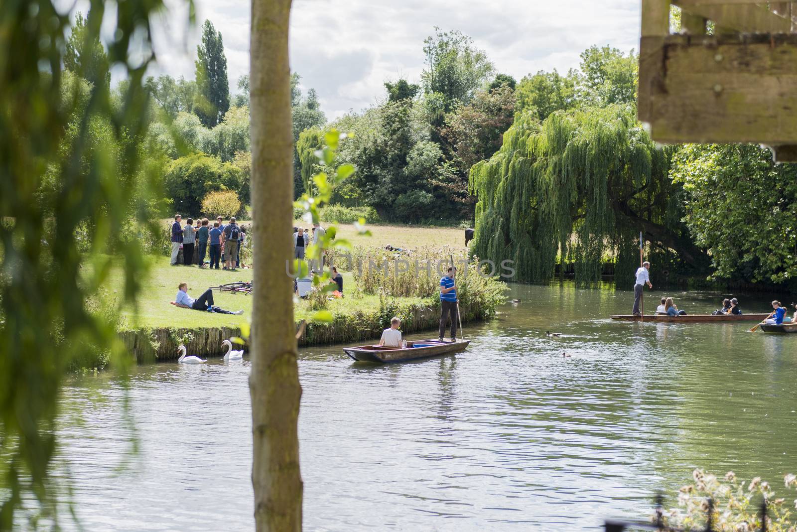 CAMBRIDGE, UK - AUGUST 18: Tourist punters in gondolas in River Cam with park full of trees in the background. August 18, 2013 in Cambridge.