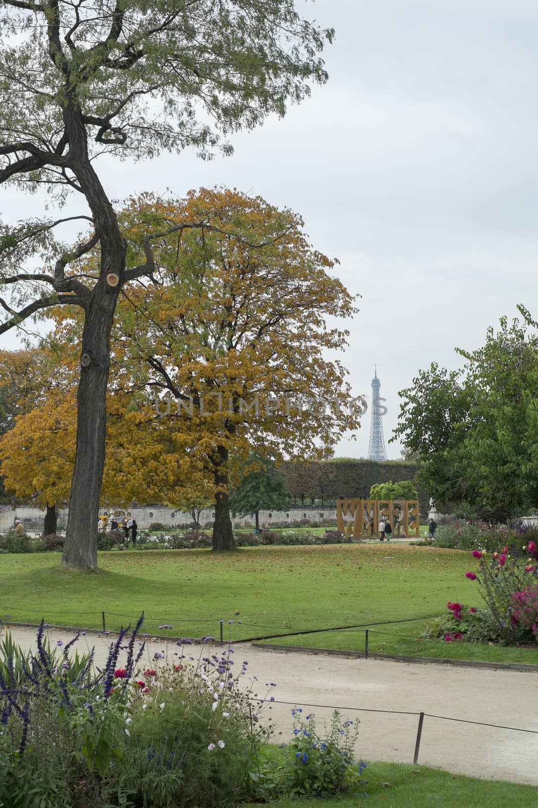 PARIS, FRANCE - OCTOBER 20: Trees in Tuilerie park, with Eiffel tower in the far background. October 20, 2013 in Paris.