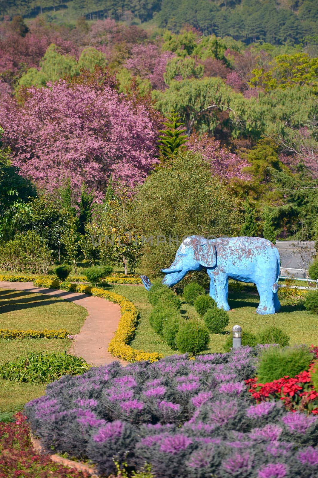 Khun Wang Park in Chiang mai, Thailand.