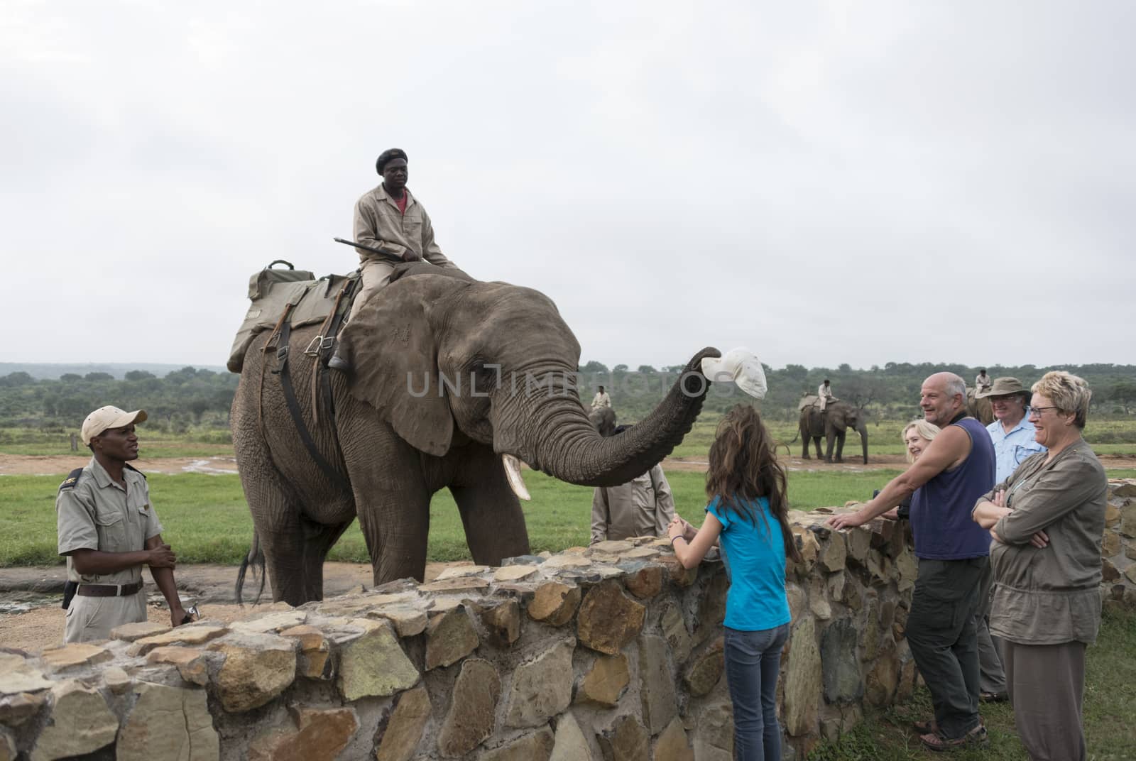 rangers sitting on elephants back and elephant takes hat from girls head