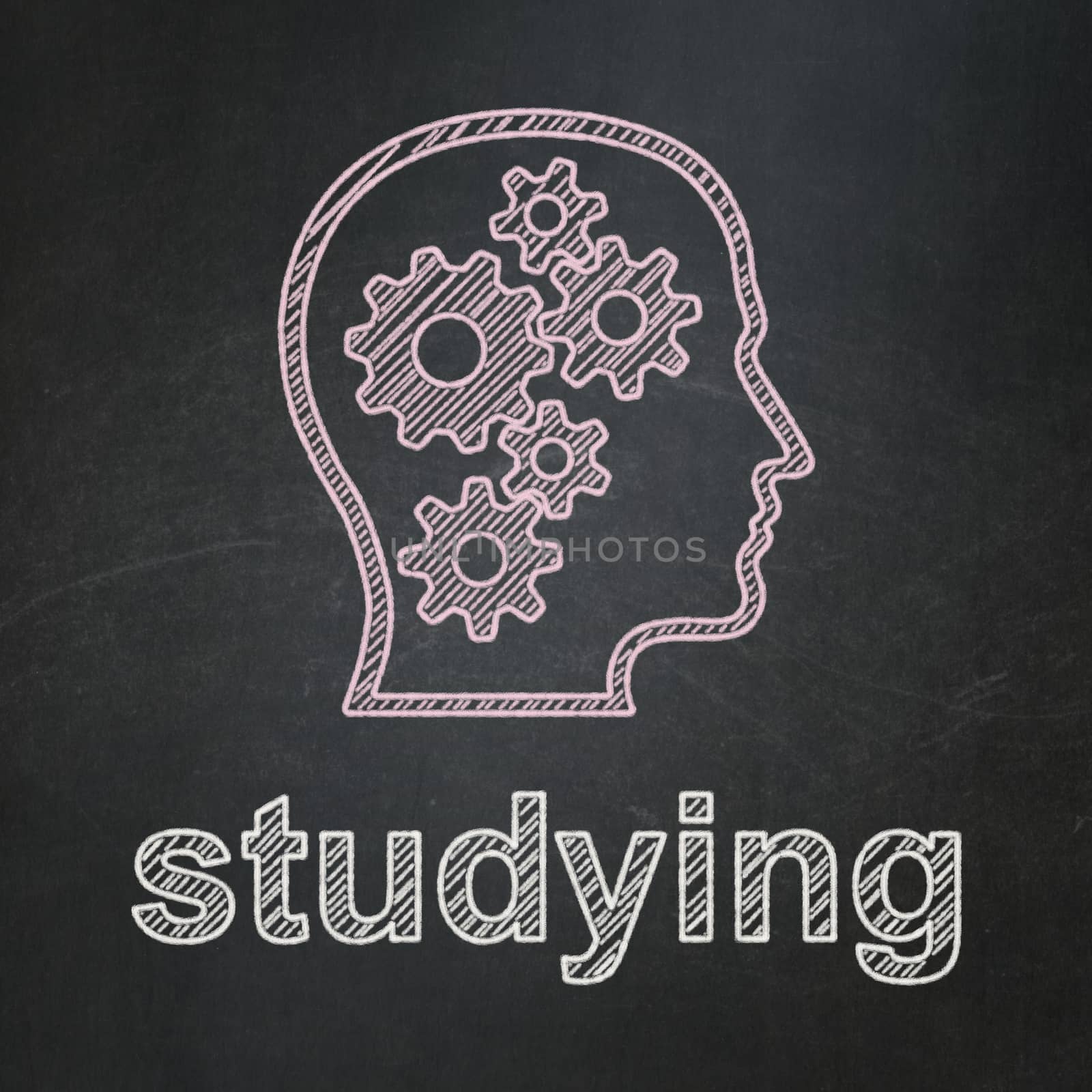 Education concept: Head With Gears and Studying on chalkboard background by maxkabakov