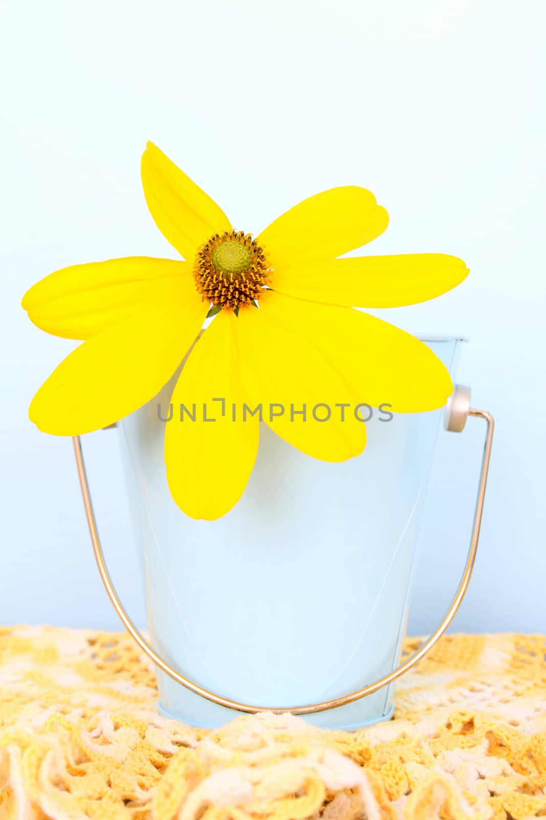 Lone yellow flower in a small bucket on table