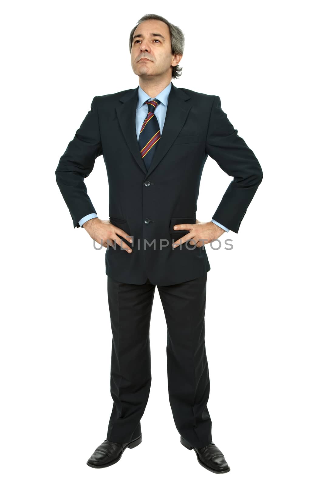 mature business man isolated on white background