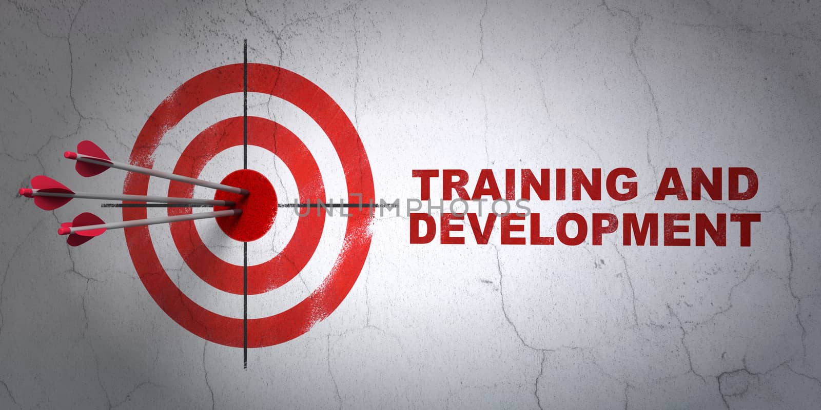 Success Education concept: arrows hitting the center of target, Red Training and Development on wall background, 3d render