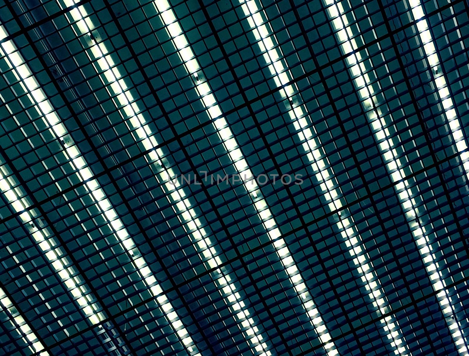 Neon lights on the ceiling of an industrial building.