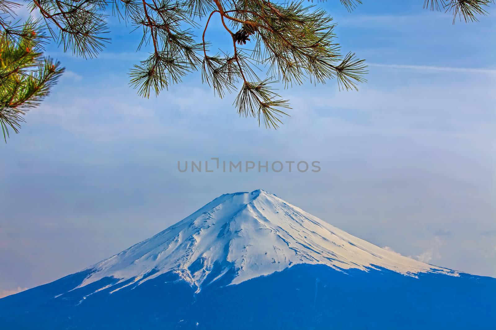 Mt Fuji in the spring seen from Kawaguchiko