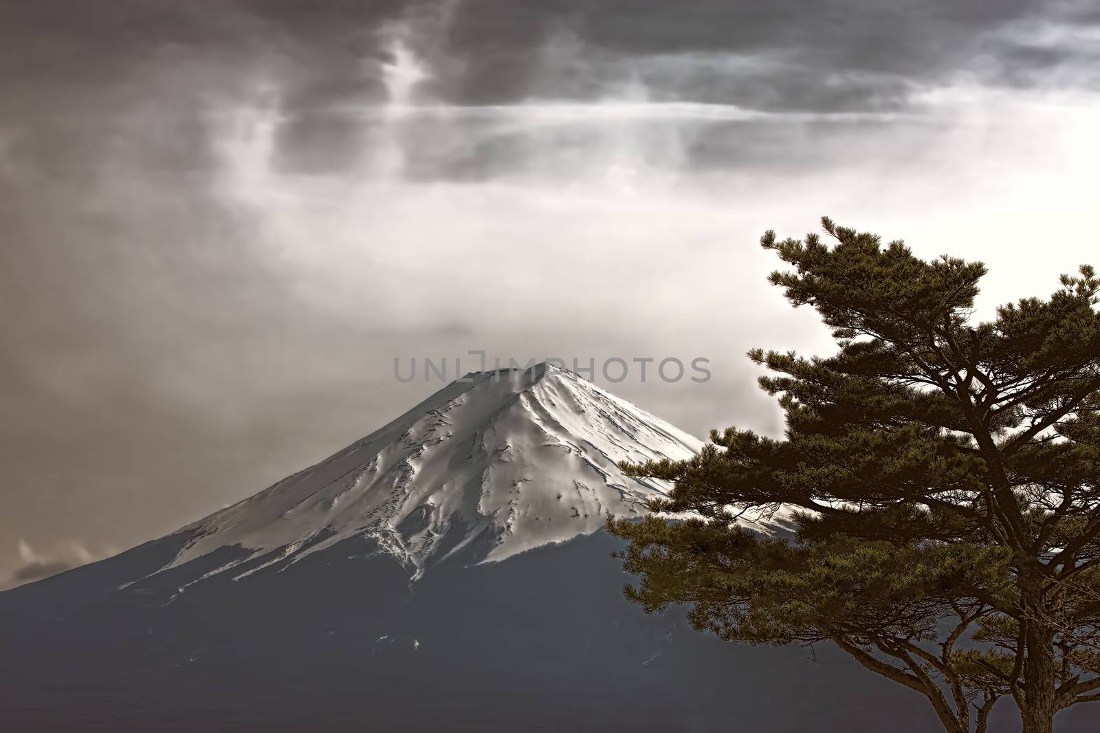 Mt Fuji photo made in retro stile with tree in front