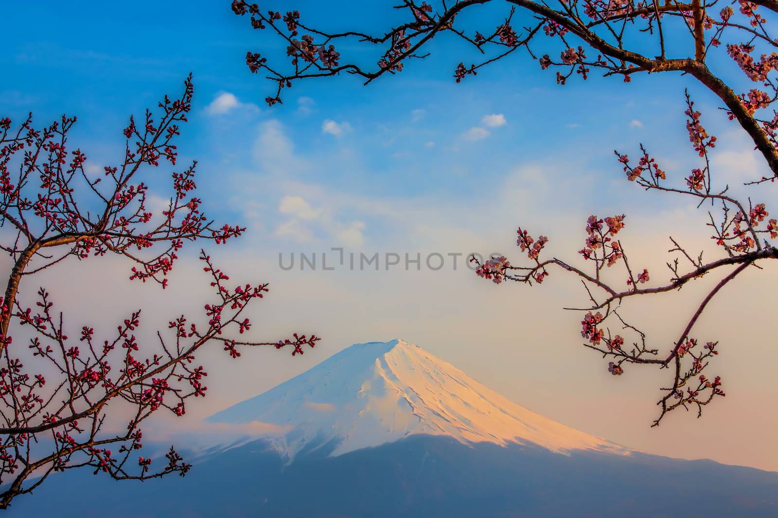 Mt Fuji by kjorgen