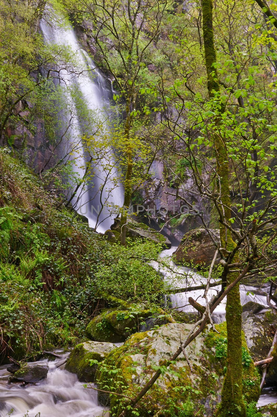 Aguianza River  falls 40m a few meters before flowing into Miño River