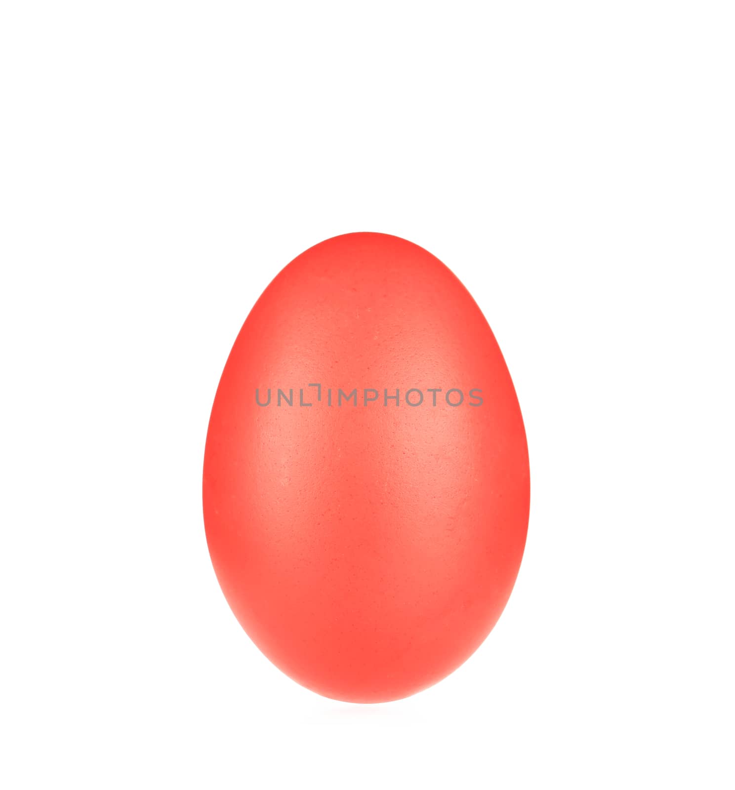 Red easter egg close up. Isolated on white with background.