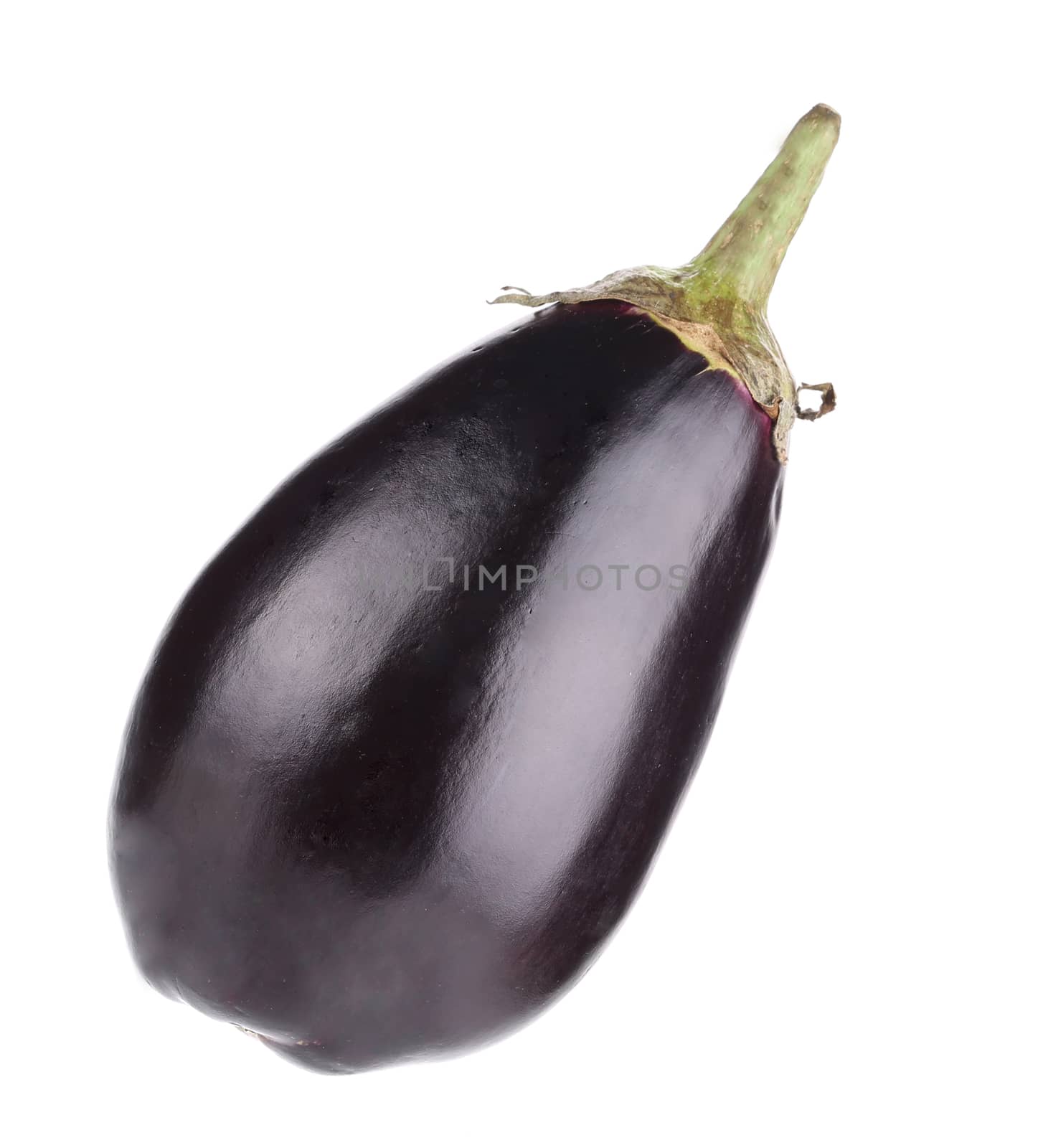 Large single eggplant. by indigolotos
