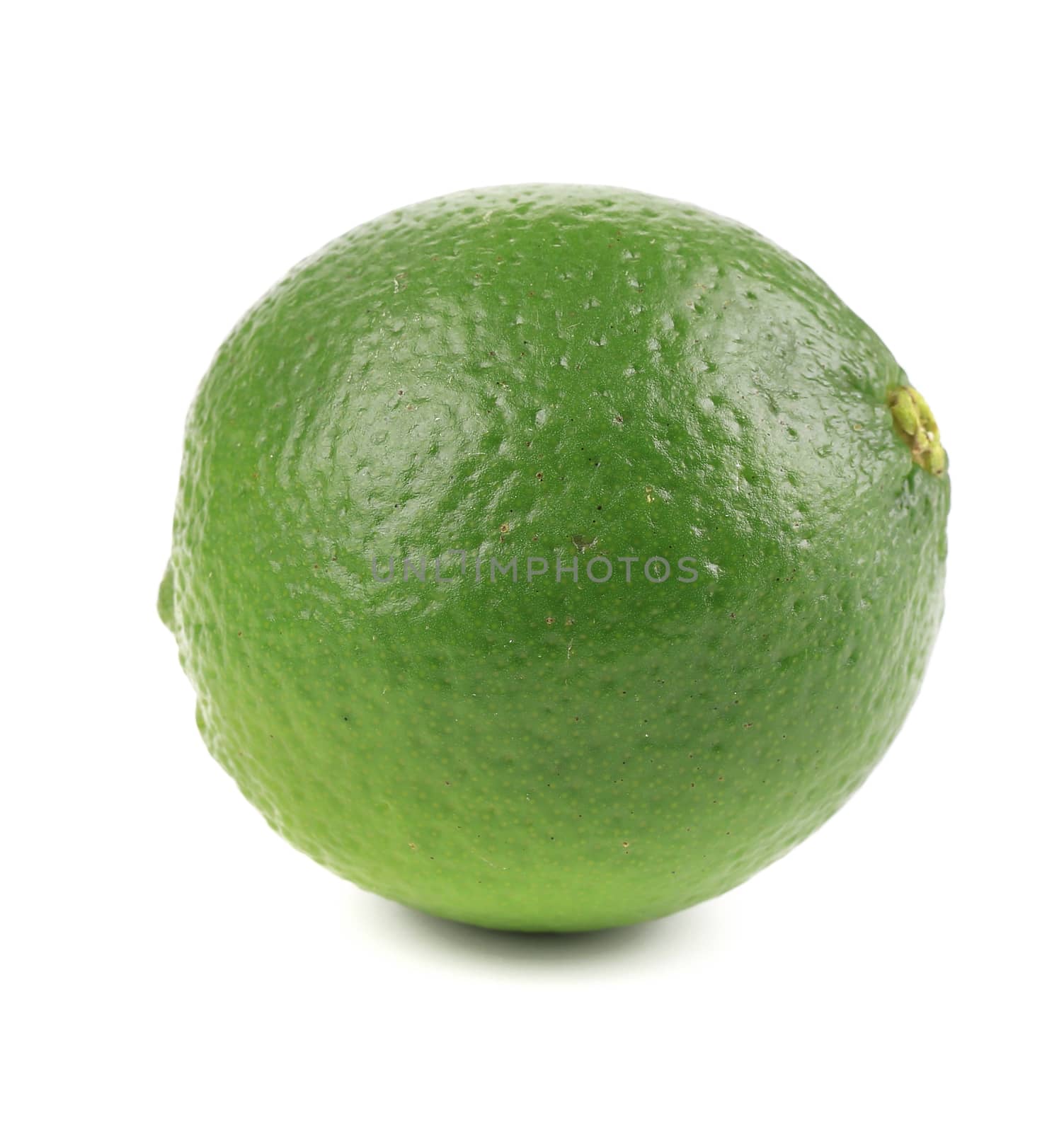 Fresh lime close up. Isolated on a white background.