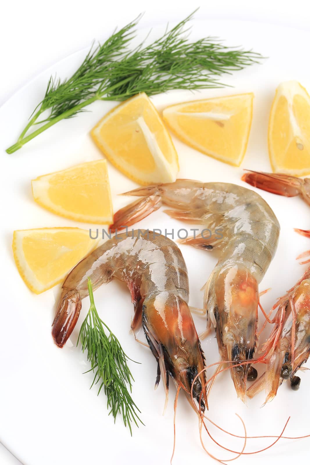 Raw shrimps on plate with lemon and dill. by indigolotos