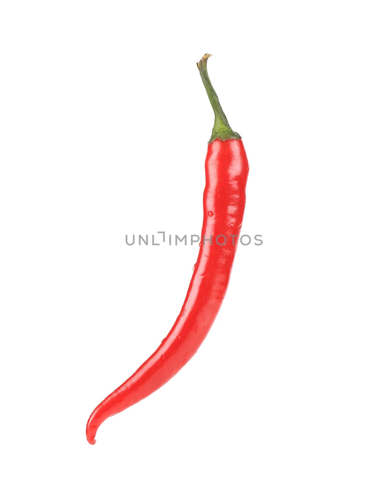 Red chili pepper. by indigolotos