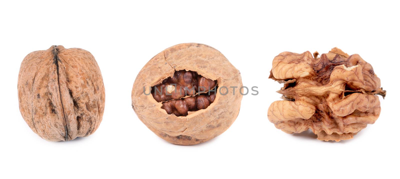 Three walnuts. by indigolotos