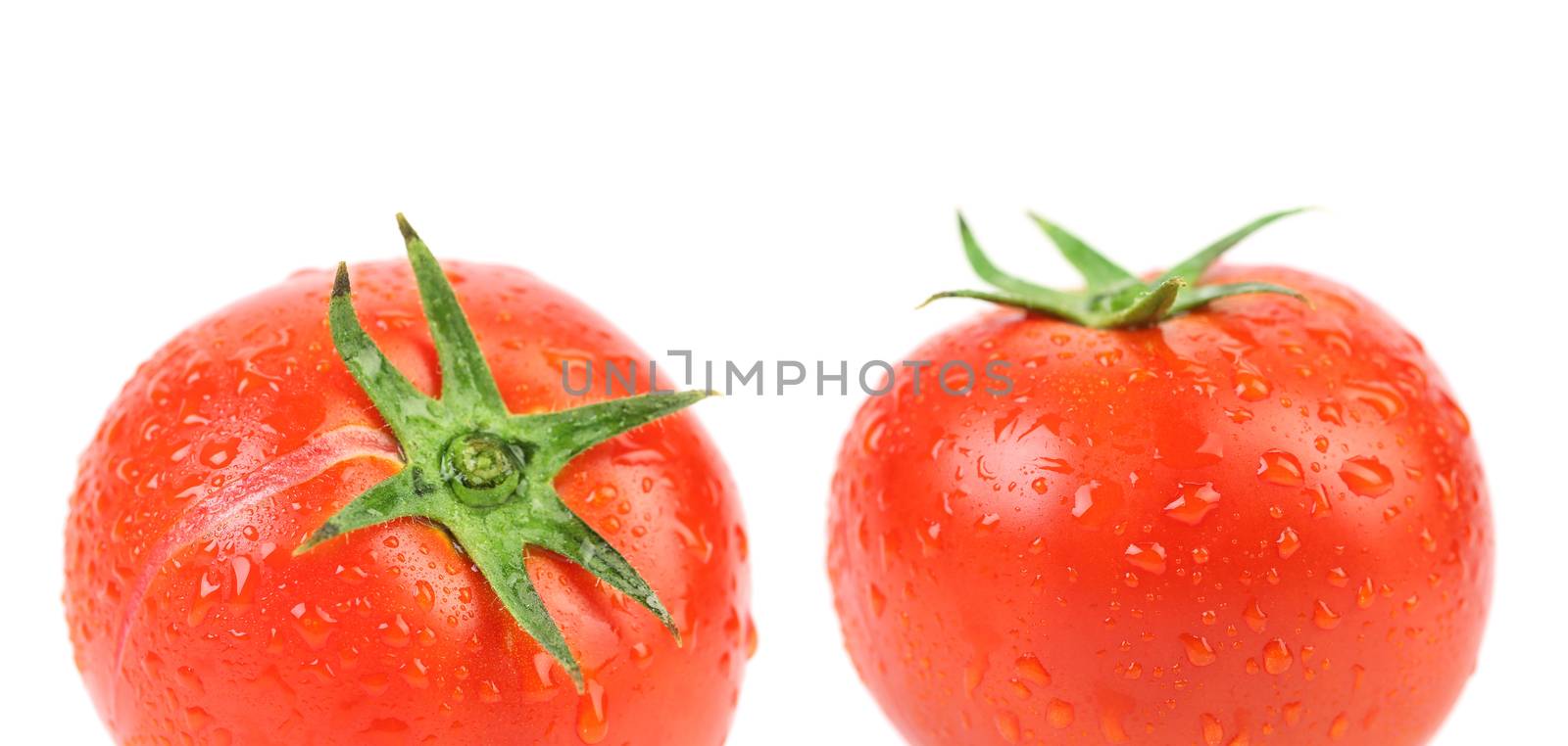 Two tomatoes with water drops. Isolated on a white background.